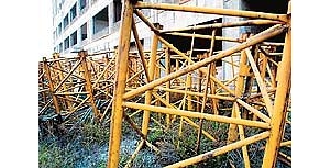 ������֧�����Ӽ�һƬɢ��