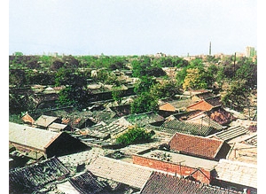 ���յı����ƾ����