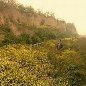 ��������ַ