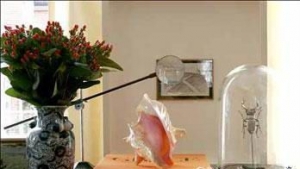 ���������µ�С�����ǵ㾦֮�ʡ�