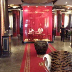 �����ڻ�Ƥ���κͺ�ɫ�����ﵯ��