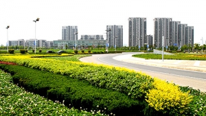 时评:城市再发展也该守住绿荫