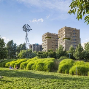 ѧУȺѧᣨSchool Group and Student Housing