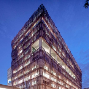 (National Heart Center)