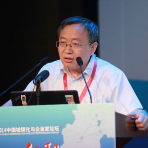 李晓江:市民化是新型城镇化最大的亮点