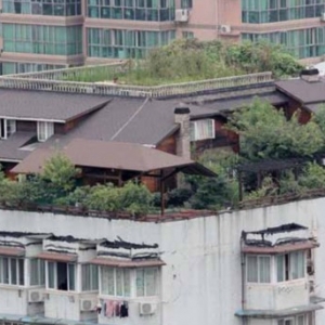 土豪买下整个楼顶自建空中花园