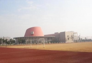 美媒:中国大学校园建筑热衷于模仿西方风格