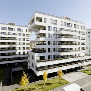 Laimburggasseסլ(Housing Laimburggasse)