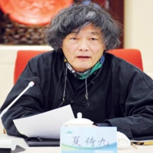 夏铸九:重夺城镇化建设的文化领导权