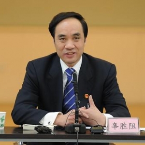 辜胜阻:城镇化为休闲产业添机遇