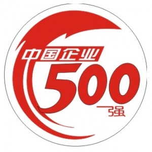 中国企业500强民企首占四成