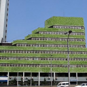 时评:绿色建筑不等于建筑绿化