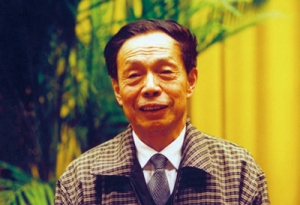 杨嗣信:中国建筑进入质量安全事故的高发期