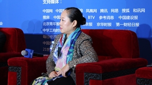 梁上燕:新型城镇化商业模式重构