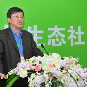 龙惟定:需求侧能源规划应有一席之地