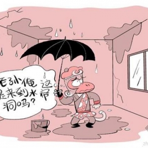 标准再多也没用 建筑渗漏难根治