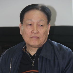 李兵弟:集体建设用地可参与城镇化进程
