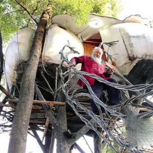 60多岁老人住在半空“鸟巢”中 树上建三室一厅