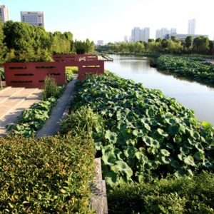 时评:水是城市景观中清澈的眼睛