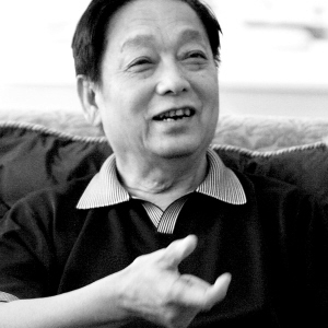 韩美林:中国不能成为“洋风”建筑试验场