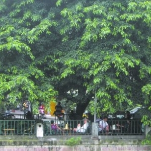 时评:家门口“绿地”变“菜市” 规划为何说改就改?