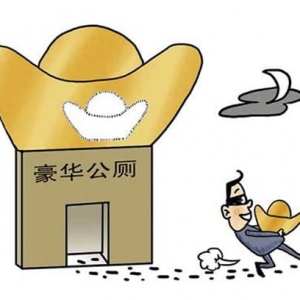 南京市夫子庙斥资40万建“四星级公厕”引争议