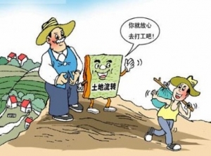 时评:城镇化时代乡村特色社会如何重建?