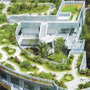 时评:城市立体绿化寻求机制突围