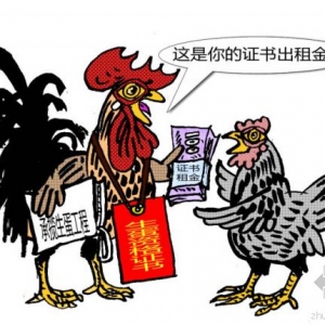 两会焦点 证件挂靠是否会被取消