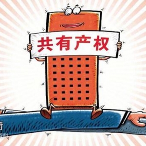 广东省房协:广东将试点建立共有产权住房供应制度