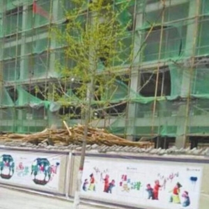 许昌一建筑工地楼上扔钢管砸死57岁晨练市民