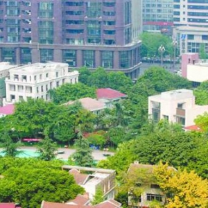成都一小区变身“违建群” 业主用豪车阻挠执法