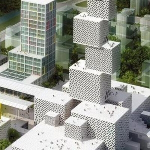 佛山新城地标高坊塔封顶 媲美央视新大楼