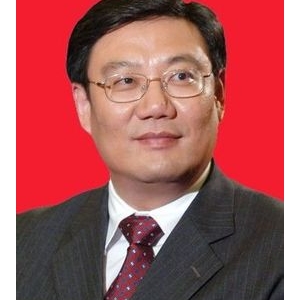 王文涛:坚定不移推进城市快速路网建设