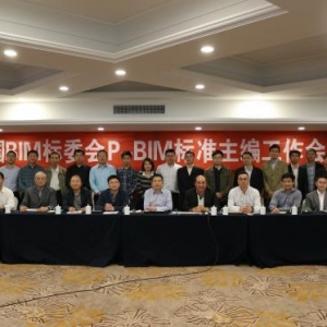 中国BIM标委会P-BIM标准主编工作会议在杭州召开