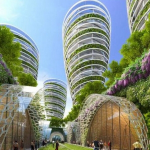 2050衰ǻ۳С