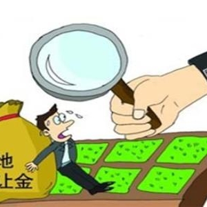 地方土地审计报告爽约半年 15万亿土地出让金去向成谜