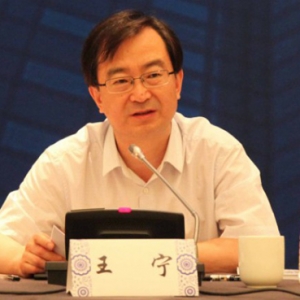 王宁:建筑产业化不光是PC 还要全链条高站位