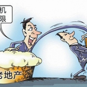 时评:养老地产开发中最重要的不是建筑而是服务