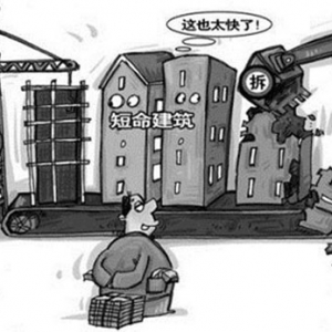 时评:短命建筑折射的国民精神及社会制度
