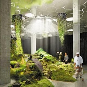Lowline¹԰ Сѷվ