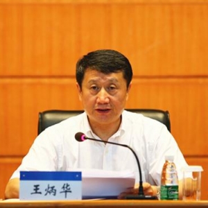 艺慧国际董事长王冰_王冰演员(3)