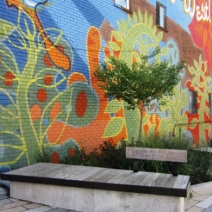 ô׶Dundas Westֵ