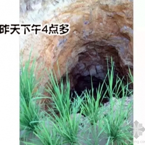 㶫廪һũ־޿ Ż