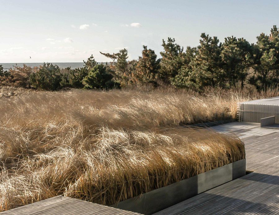 2013ASLA