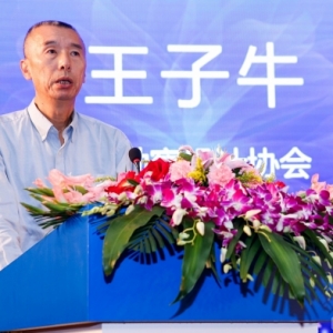 中国BIM软件生态环境大会隆重召开——中外企业共建中国BIM软件生态环境