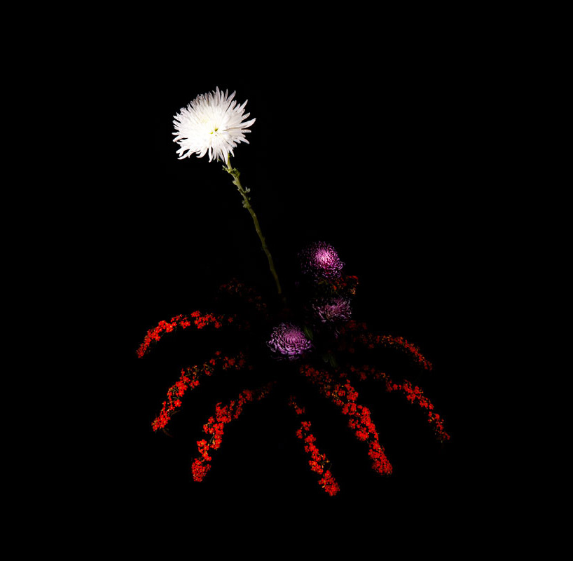 ̻쳹
