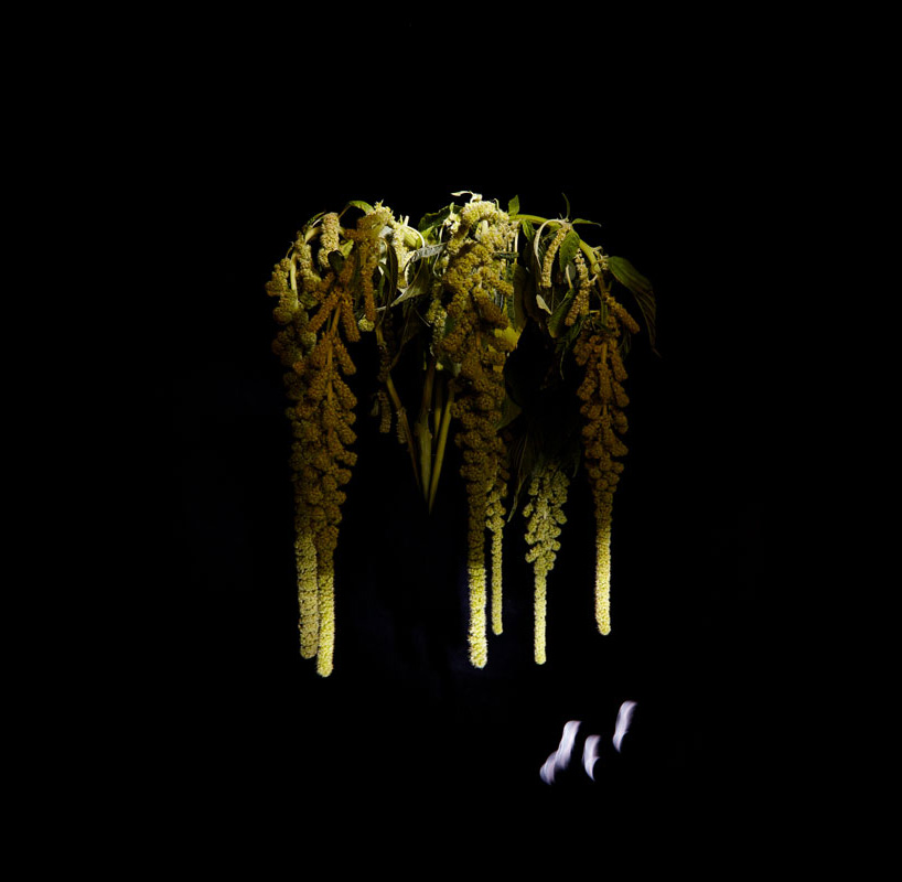 ̻쳹