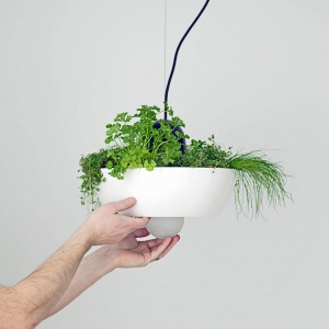 ľ ֲ