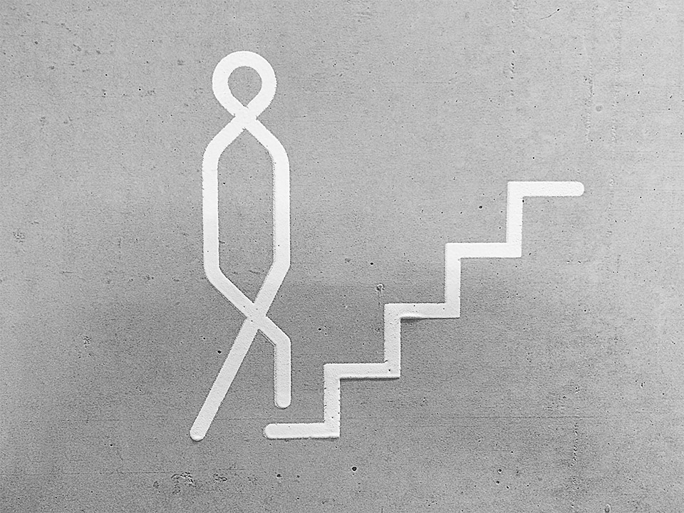 ȤĽʶϵͳ